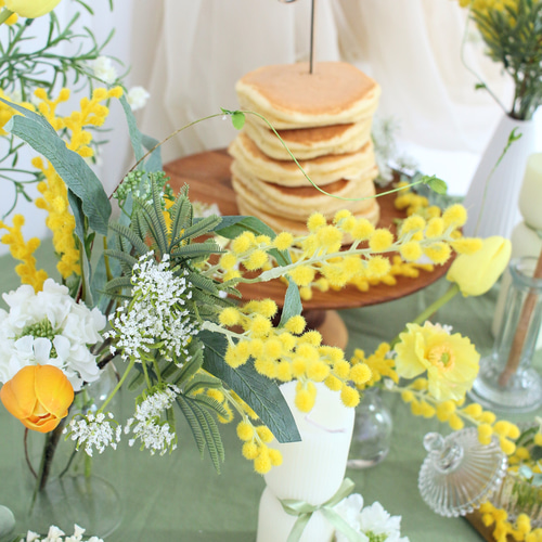 MIMOSA】レンタルおうちスタジオ(3泊4日)ファーストバースデー MIMOSA】レンタルおうちスタジオ(3泊4日)ファーストバースデー