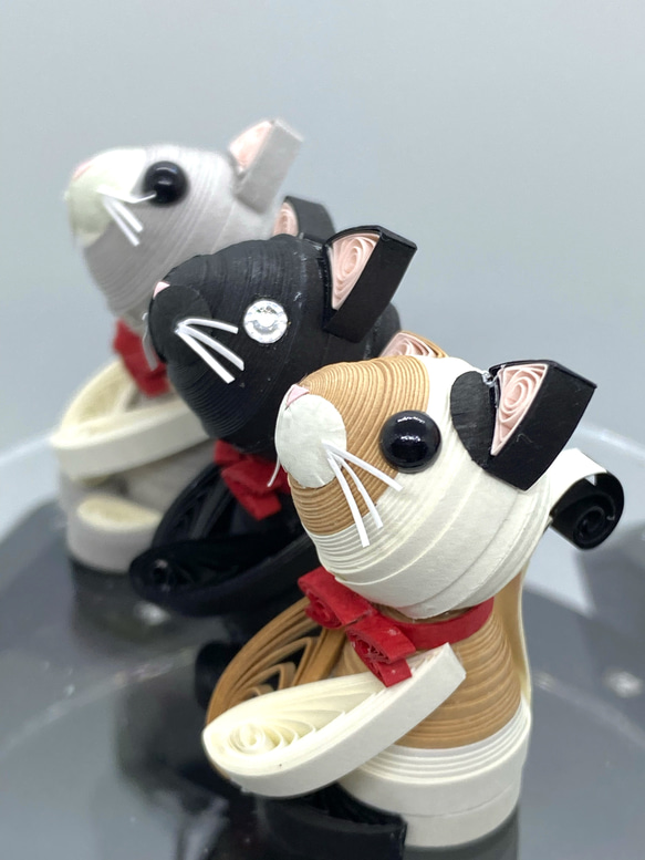 むき出しシリーズ③にゃんこセット 14枚目の画像