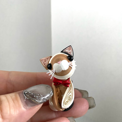 むき出しシリーズ③にゃんこセット 4枚目の画像