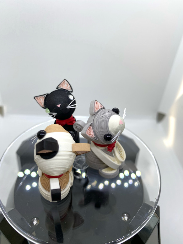 むき出しシリーズ③にゃんこセット 6枚目の画像