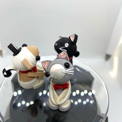 むき出しシリーズ③にゃんこセット 8枚目の画像