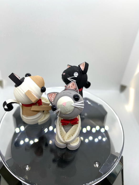 むき出しシリーズ③にゃんこセット 8枚目の画像