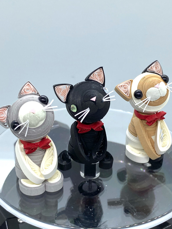 むき出しシリーズ③にゃんこセット 2枚目の画像