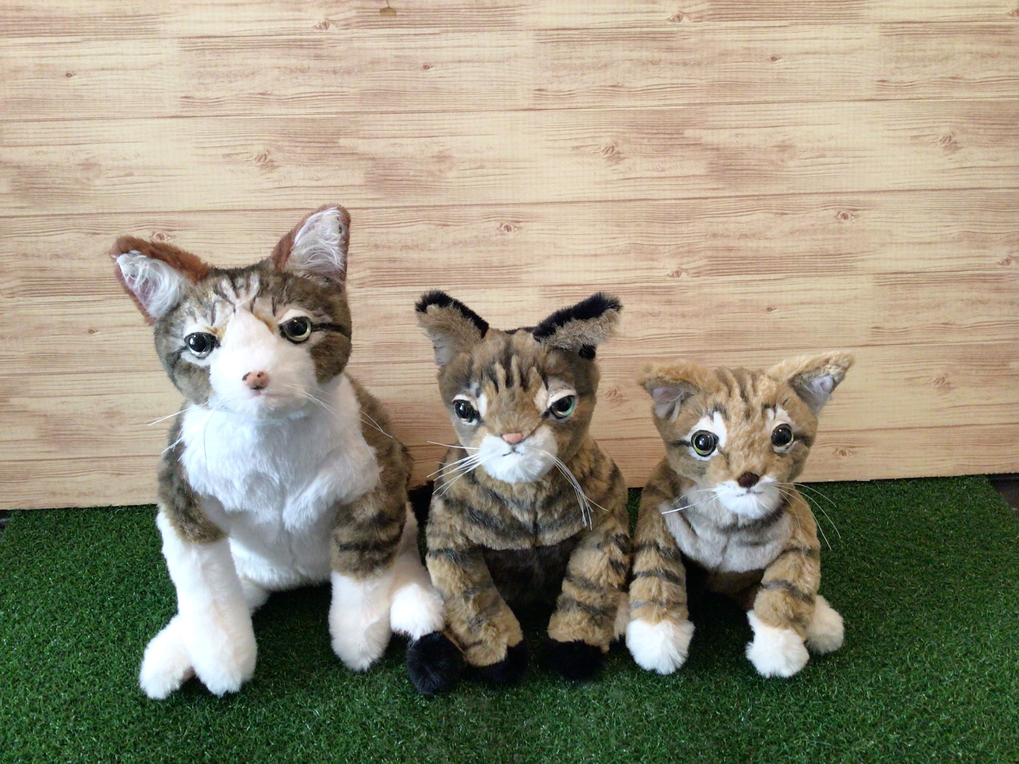 猫 ぬいぐるみ 半オーダー 受注製作〉リアル愛猫ちゃんオーダーメイド品(キジトラ猫) 縫いぐるみ