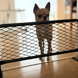 愛犬の脱走防止に！！自立式 アメリカンフェンス風バリケード