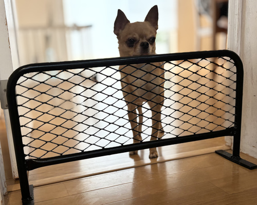 01d2a0d387ef8fa3706355a8e1c280