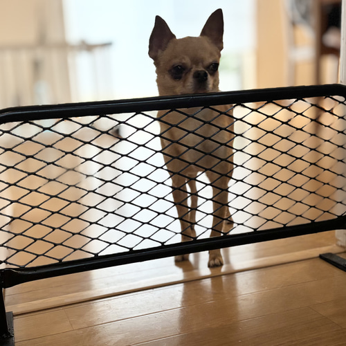 愛犬の脱走防止に！！自立式 アメリカンフェンス風バリケード 800×400 愛犬の脱走防止に!!アメリカンフェンス風バリケード 600×300