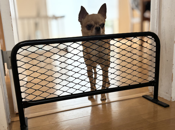 愛犬の脱走防止に！！自立式 アメリカンフェンス風バリケード 1200×600 愛犬の脱走防止に!!アメリカンフェンス風バリケード 600×300