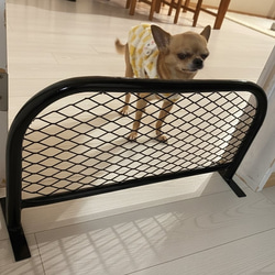 愛犬の脱走防止に!!アメリカンフェンス風バリケード 600×300