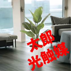 光触媒　人工観葉植物　フェイクグリーン　フレッシュスキンダプサス1.0 光触媒 人工観葉植物 フェイクグリーン フレッシュスキンダプ