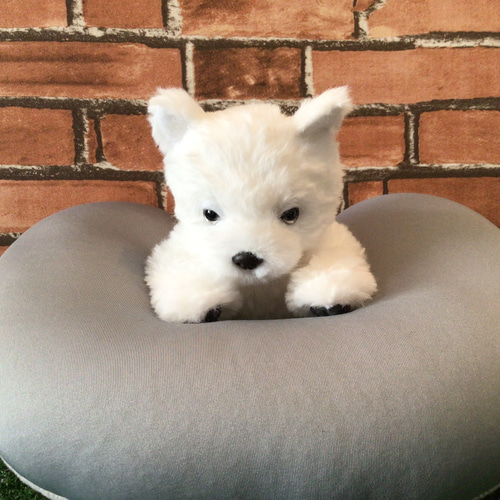 受注製作〉リアル愛犬ちゃん縫いぐるみオーダーメイド(サモエド