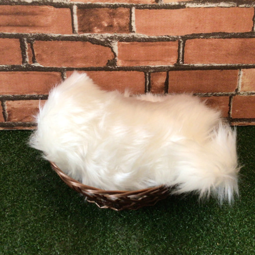 受注製作〉リアル愛犬ちゃん縫いぐるみオーダーメイド(サモエド)子犬