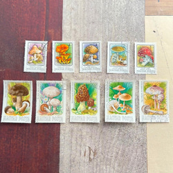 084・フランス ファーマシーラベル 10枚セット ラベル 薬品ラベル 紙