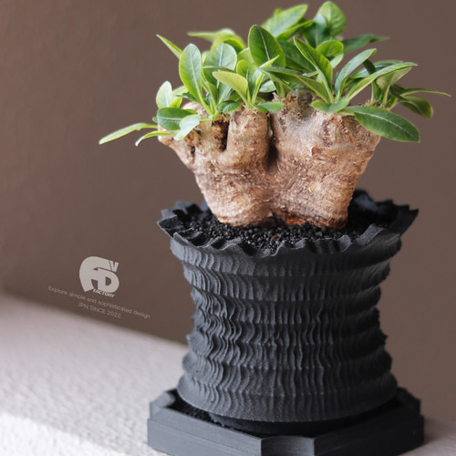 塊根植物 鉢 植木鉢 Adv-051-S(110×90) Shinogi cr おしゃれ 多肉 観葉