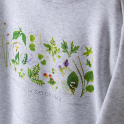 ［着る里山］野草パーカー〜初夏ver.〜（アッシュ） 9枚目の画像