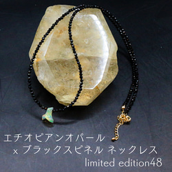 ブラックオパール+ネックレス のおすすめ人気通販 検索結果