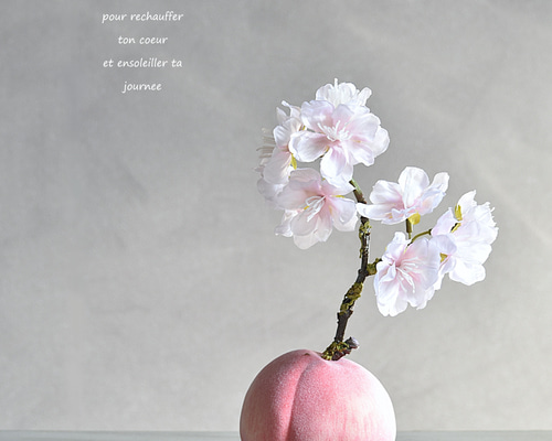 3e21ac60938654e9978fe4c48ffc88