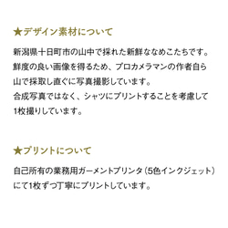 ［着る山菜］森のなめこランチトート 6枚目の画像