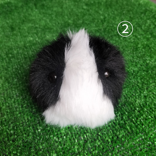 たまモル☆黒☓白】手のひらに、生きてるみたいな命の重み