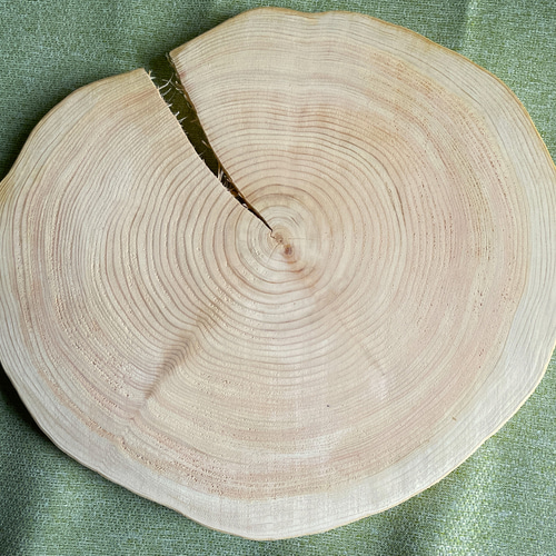 原木ひのきの湯 お風呂用原木輪切りのお盆 バス・トイレ・洗面用品