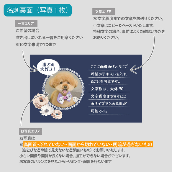【受注後制作】背景色を選べる ペット名刺 『両面版』 50枚 フラワー no.01 11枚目の画像