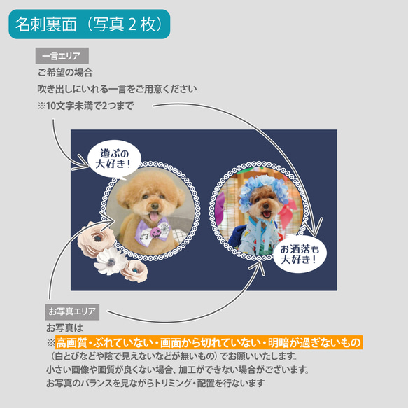 【受注後制作】背景色を選べる ペット名刺 『両面版』 50枚 フラワー no.01 10枚目の画像