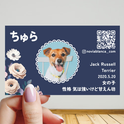【受注後制作】背景色を選べる ペット名刺 『両面版』 50枚 フラワー no.01 4枚目の画像