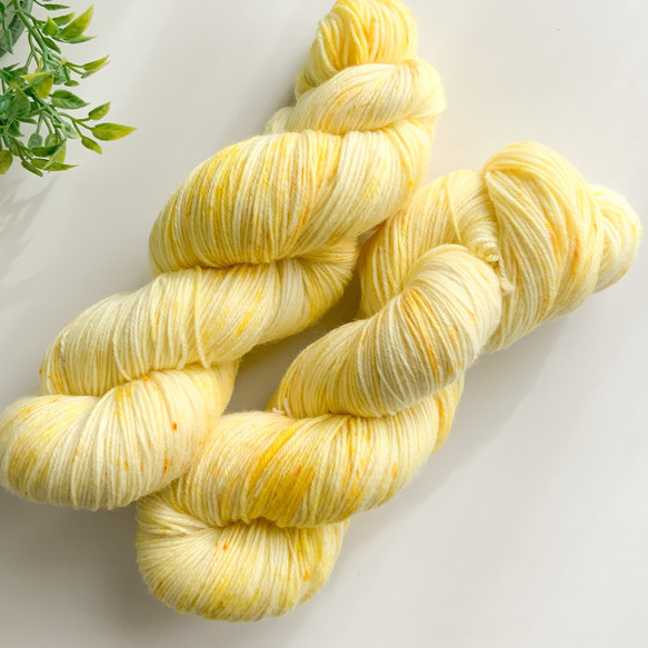 手染め毛糸　ソックヤーン　Jy(1)100g 1枚目の画像