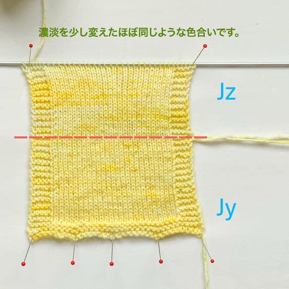 手染め毛糸　ソックヤーン　Jz(2)100g 6枚目の画像