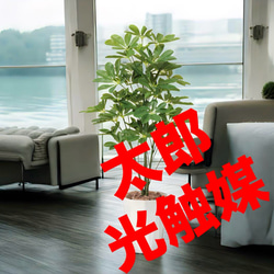 光触媒　人工観葉植物　ウォールグリーン　フェイクグリーン　アルテシマ株立FST 光触媒 人工観葉植物 ウォールグリーン フェイクグリーン アルテシマ株