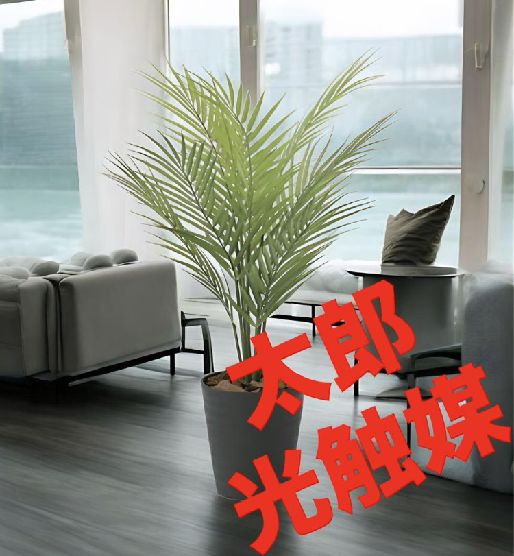 光触媒　人工観葉植物　ウォールグリーン　フェイクグリーン　パームツリー65