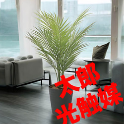 光触媒 人工観葉植物 ウォールグリーン フェイクグリーン ガジュマル