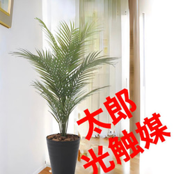 光触媒 人工観葉植物 フェイクグリーン アートゴールデンツリー1.8m