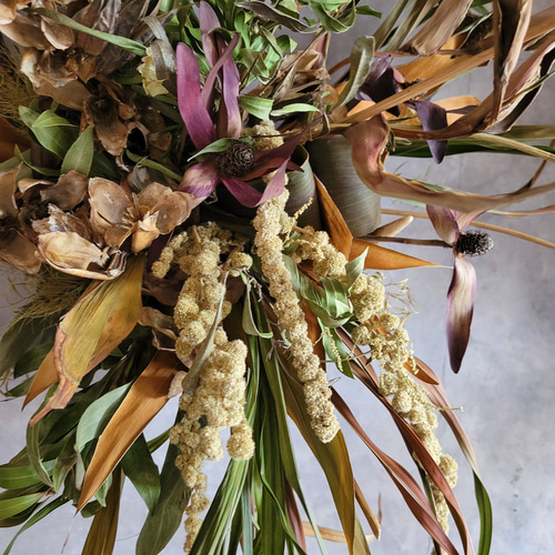 シカの角とドライフラワーの壁掛け*カッコイイ ドライフラワー papaver