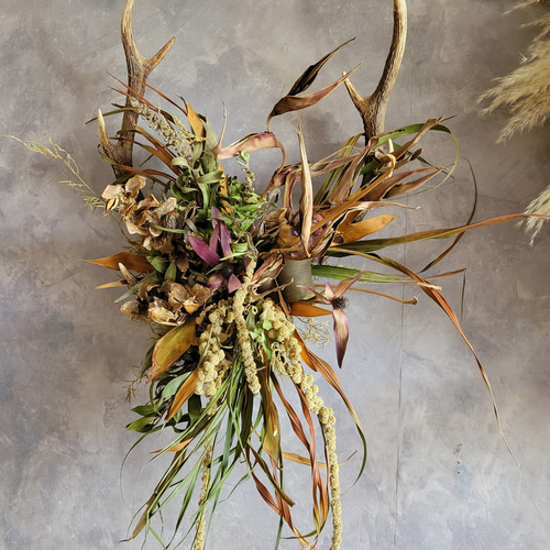 ドライフラワー 壁掛け用葉デザイン はっぱ丸　人気キャラクター a0de01c340d81d1b82a78cf0643930