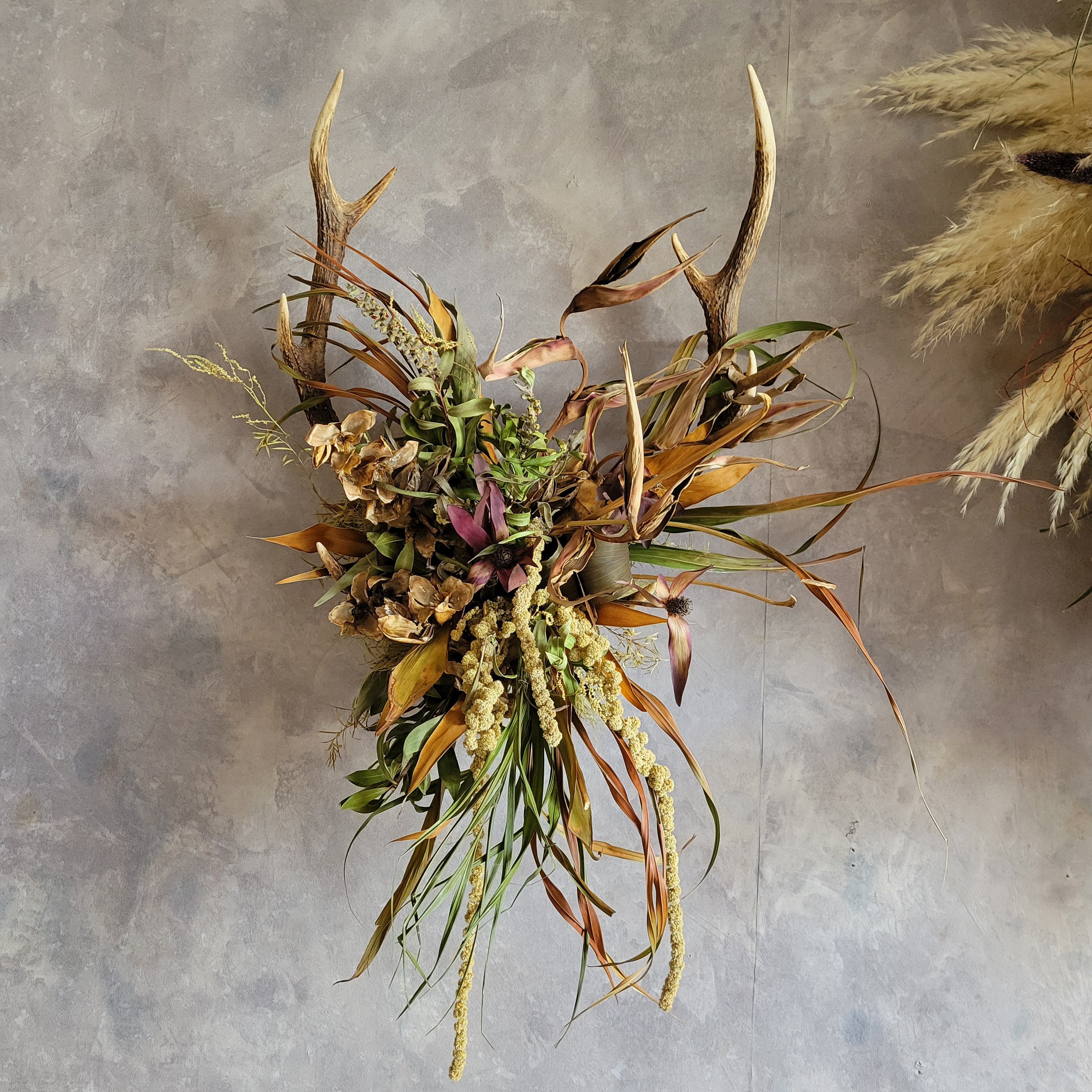 シカの角とドライフラワーの壁掛け*カッコイイ