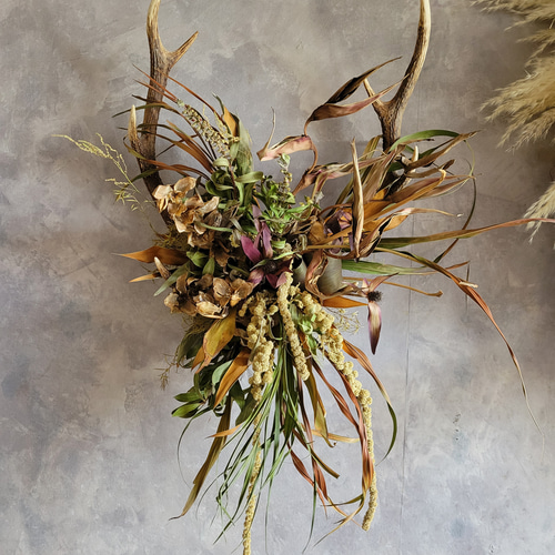 シカの角とドライフラワーの壁掛け*カッコイイ ドライフラワー