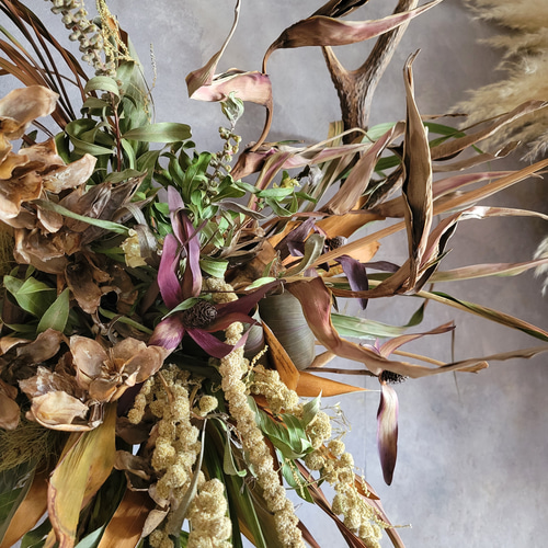 ドライフラワー 壁掛け装飾 鹿の角付き 57826556124826f90042ba836978c6