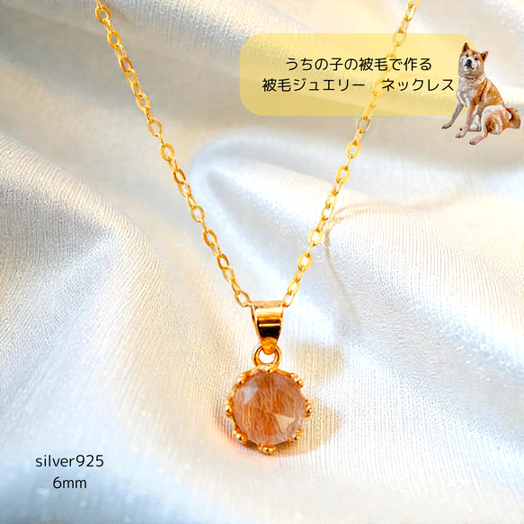 世界にひとつだけのペットジュエリー 被毛ジュエリー うちの子宝石 遺
