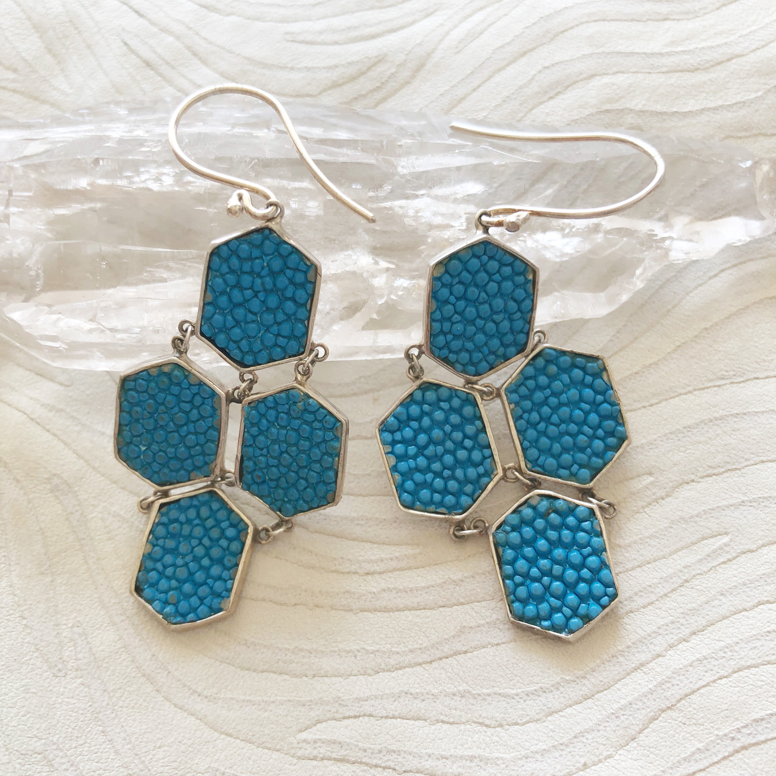 ピアス　マンタの遊泳〈Manta Ray Swimming〉★ナチュラルシリーズ