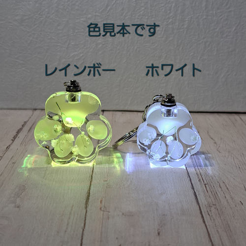 ライト かすみ草がかわいい（水色・大）肉球型LEDライト付き