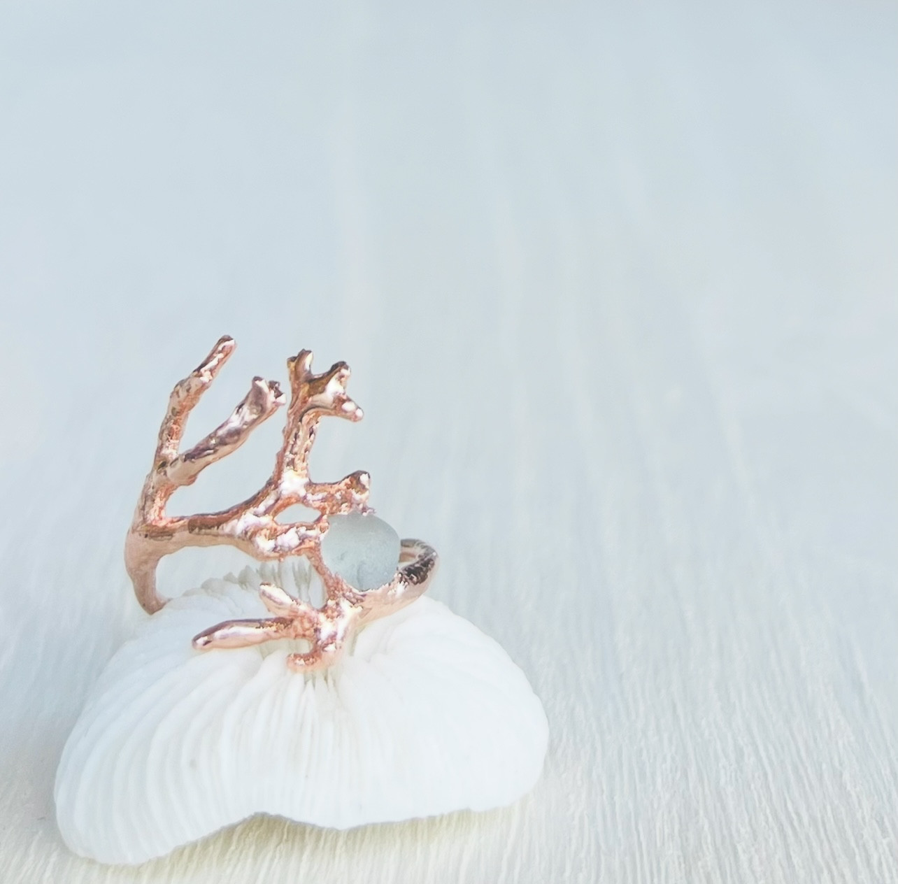 ウミウチワリング