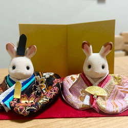 1159※ハルモニアブルームアウトフィット※単品※白のレース袖のラグラン