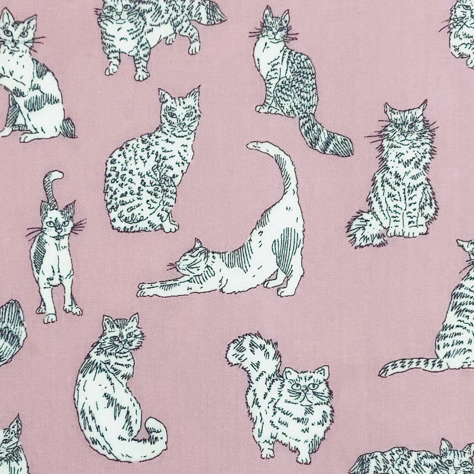 ＊ラミネート＊ がま口長財布 スリム 選べる ミャオウ 猫 リバティプリント使用