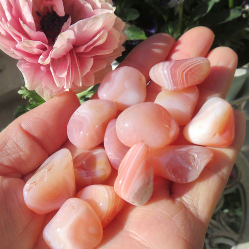 美しい鉱物標本】サーモン瑪瑙の磨き石セット／【Ⅰ】59グラム その他