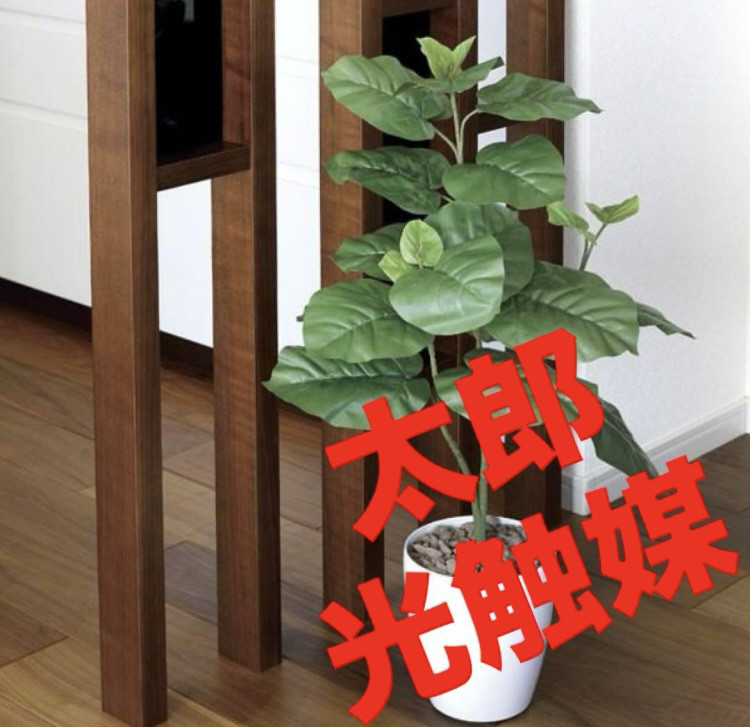 光触媒　人工観葉植物　フェイクグリーン　ウンベラータ高さ80センチ@@