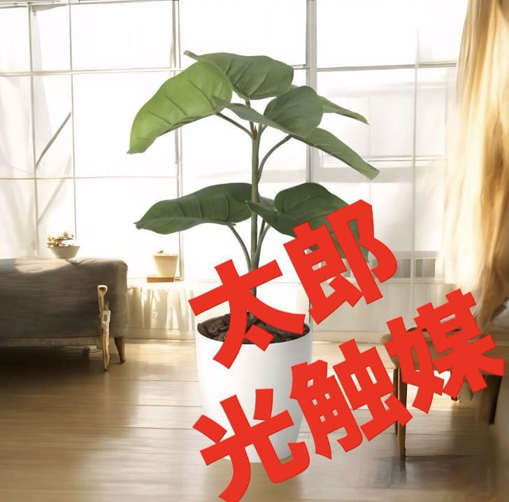 光触媒　人工観葉植物　フェイクグリーン　フレッシュウンベラータ60@@ 6,848円