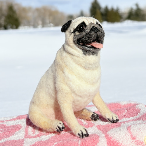 羊毛フェルト　パグ 羊毛フェルト◾️パグ