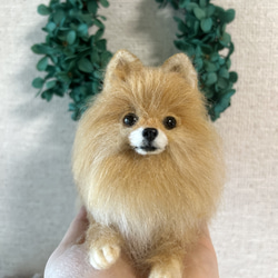 母の日　羊毛フェルト　にこにこポメラニアン　クリーム 羊毛フェルト にこにこポメラニアン 送料無料 クリーム 羊毛