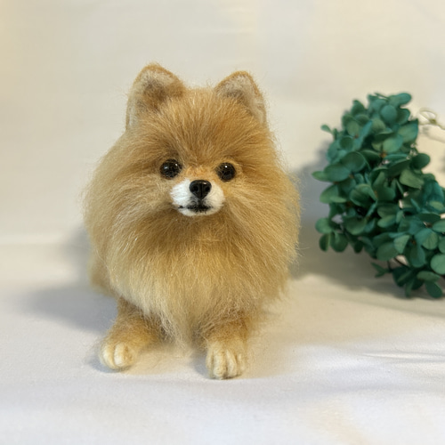 羊毛フェルト おすましポメラニアン 送料無料 オレンジ 羊毛フェルト